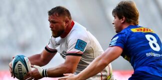 News24.com | CJ Stander’s stark warning to Duane’s World Cup doubters: ‘You can’t write him off’