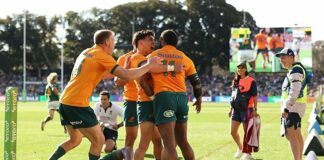 News24.com | Bok coach frustrated after Wallabies loss: ‘We created but didn’t convert opportunities into points’