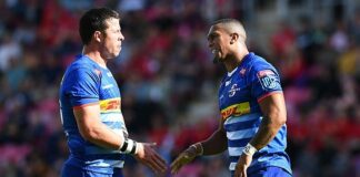 News24.com | Zas, Nel not available for URC champs this weekend as Stormers look to face season pressure head-on