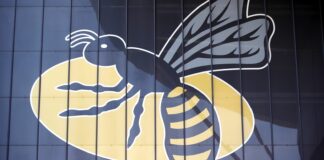 Wasps file a notice of intention to appoint administrators