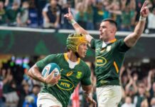 RUGBY CHAMPIONSHIP: Boks fall short of Rugby Championship glory despite victory over Pumas