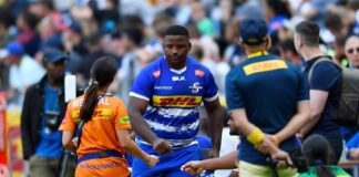 News24.com | Two yellows and a red: Stormers coach ‘not irritated’ by discipline as cards fly against Edinburgh