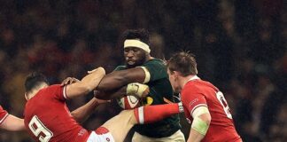 News24.com | Springboks confirm Rugby World Cup warm-up match against Wales