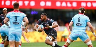 News24.com | Sharks shed off early jitters to power past competitive Glasgow Warriors