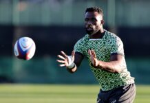 Five Bok stars in line for SA Rugby Player of the Year award