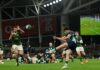 SOUTH AFRICA CONNECTION: SA-born hooker Herring one of many intrinsic threads that links Ireland and the Springboks